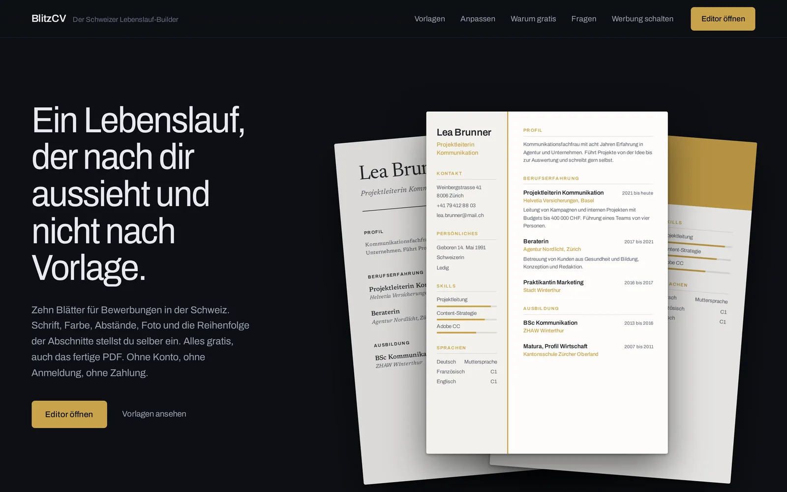 Startseite von BlitzCV auf dem Desktop