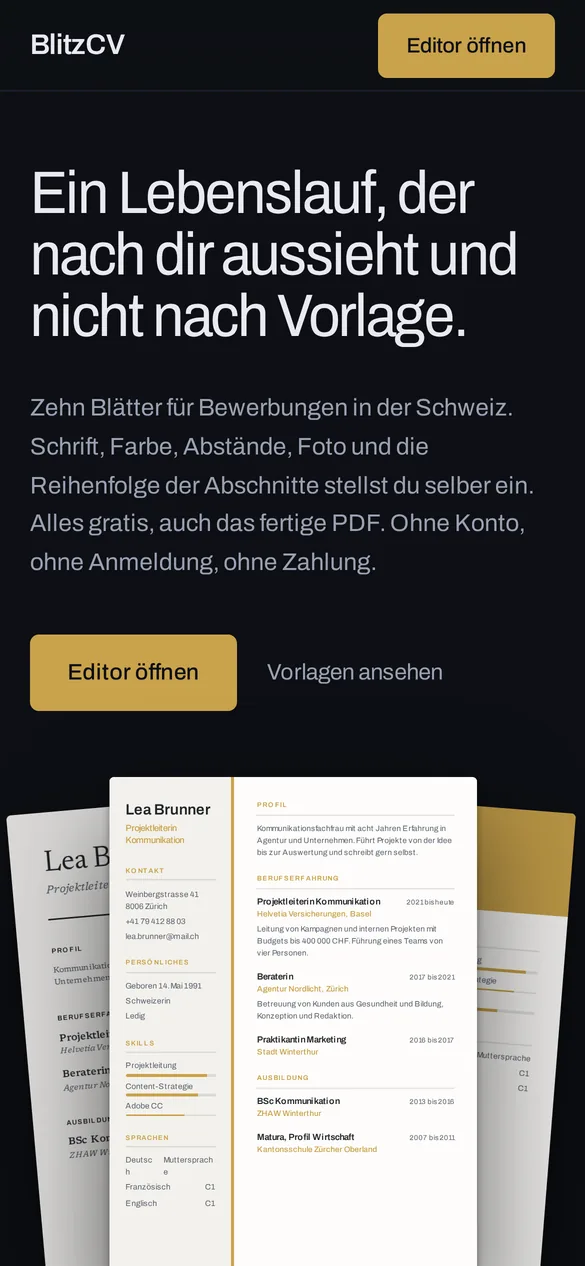 BlitzCV auf dem Handy